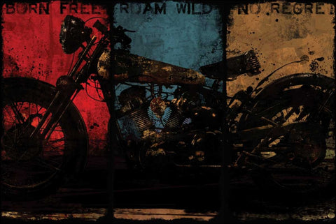 BORN FREE MULTI Black Modern Wood Framed Art Print by Yang, Eric
