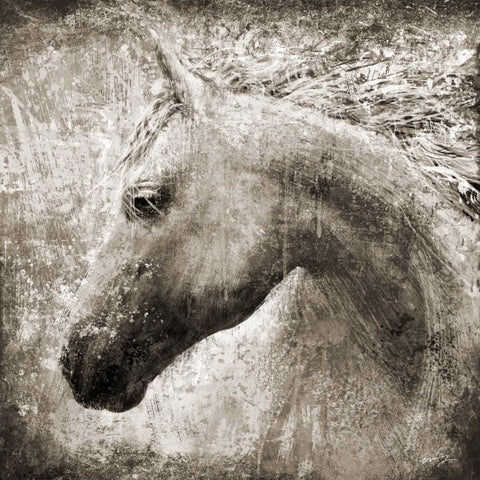 MAJESTIC HORSE Black Ornate Wood Framed Art Print with Double Matting by Yang, Eric