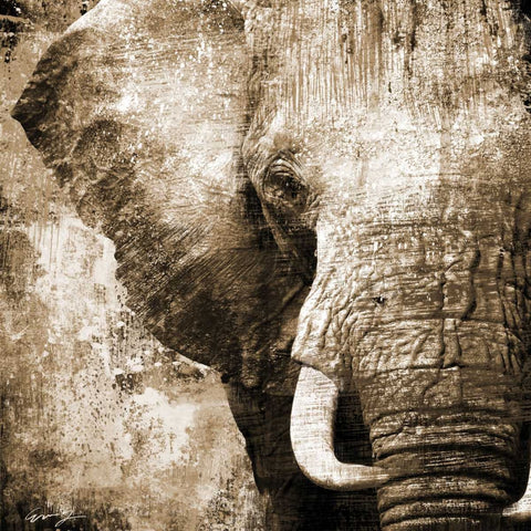 AFRICAN ANIMALS I - sepia Black Ornate Wood Framed Art Print with Double Matting by Yang, Eric