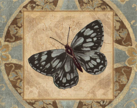 NATURES BUTTERFLY I Black Ornate Wood Framed Art Print with Double Matting by Ballantyne, Piper
