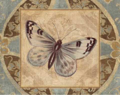 NATURES BUTTERFLY II Black Ornate Wood Framed Art Print with Double Matting by Ballantyne, Piper