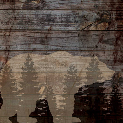 RUSTIC BEAR White Modern Wood Framed Art Print with Double Matting by Ballantyne, Piper