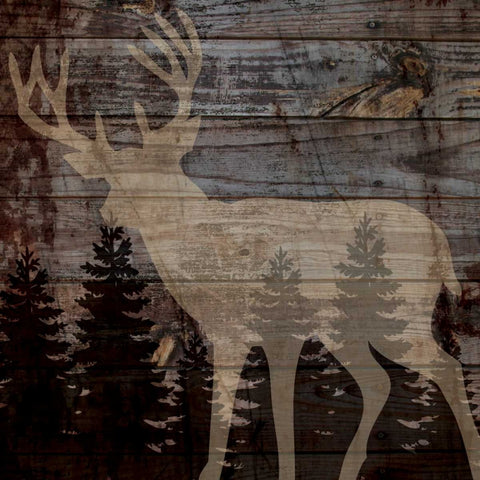 RUSTIC DEER White Modern Wood Framed Art Print with Double Matting by Ballantyne, Piper