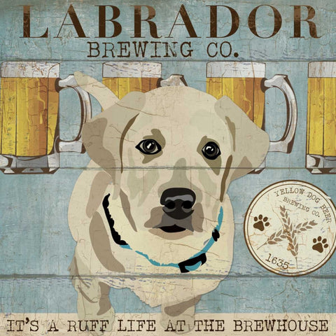 LIFES RUFF II White Modern Wood Framed Art Print with Double Matting by Ballantyne, Piper