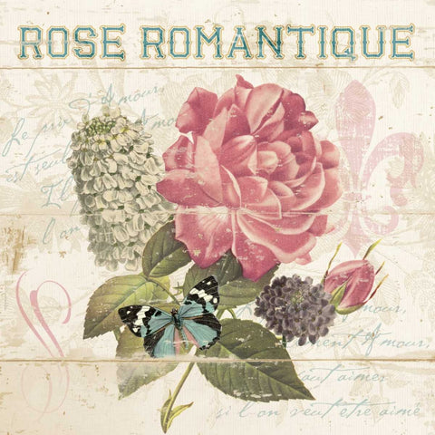 LA ROSE ROMANTIQUE White Modern Wood Framed Art Print with Double Matting by Ballantyne, Piper