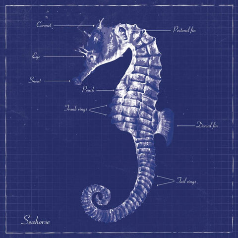 BLUEPRINT SEAHORSE White Modern Wood Framed Art Print with Double Matting by Ballantyne, Piper