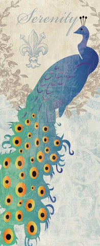 SERENE PEACOCK White Modern Wood Framed Art Print with Double Matting by Ballantyne, Piper