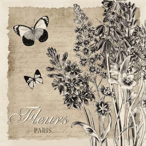 BORDERED FLEURS PARIS Black Ornate Wood Framed Art Print with Double Matting by Ballantyne, Piper
