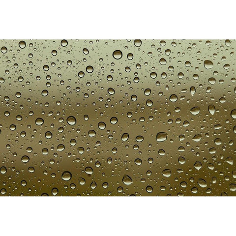 Water droplets on glass Black Modern Wood Framed Art Print with Double Matting by Frank, Assaf