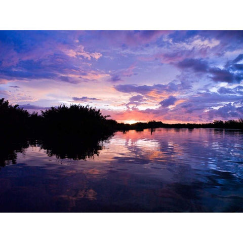 River at dusk, Malaysia, Kotakinabalu Gold Ornate Wood Framed Art Print with Double Matting by Frank, Assaf