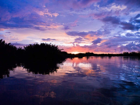 River at dusk, Malaysia, Kotakinabalu Black Ornate Wood Framed Art Print with Double Matting by Frank, Assaf