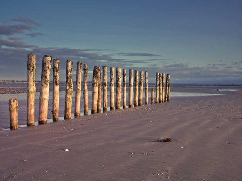 Groynes at ast head beach, West Susex coast Black Ornate Wood Framed Art Print with Double Matting by Frank, Assaf