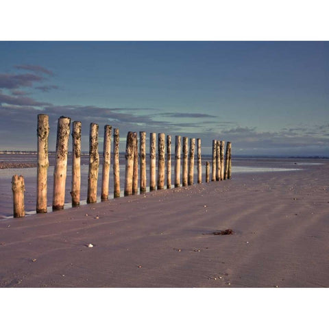 Groynes at ast head beach, West Susex coast Black Modern Wood Framed Art Print with Double Matting by Frank, Assaf