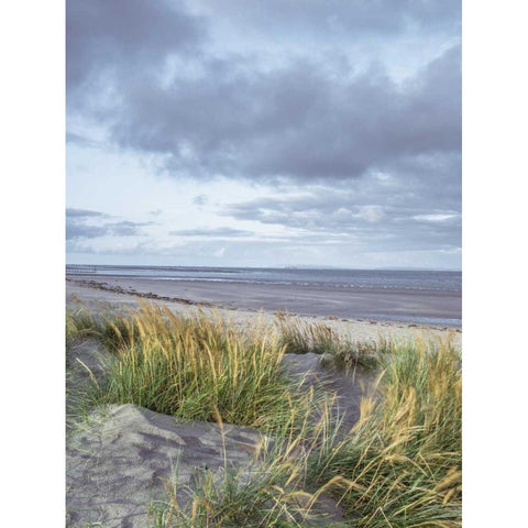 Sand dunes and grass, West wittering beach, UK Gold Ornate Wood Framed Art Print with Double Matting by Frank, Assaf