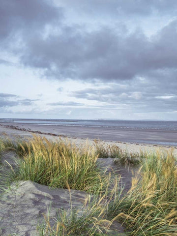 Sand dunes and grass, West wittering beach, UK Black Ornate Wood Framed Art Print with Double Matting by Frank, Assaf