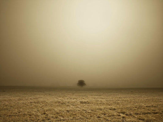 Image Only