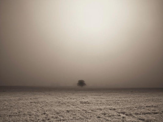 Image Only