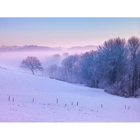 Winter landsacpe in Switzerland Black Modern Wood Framed Art Print with Double Matting by Frank, Assaf