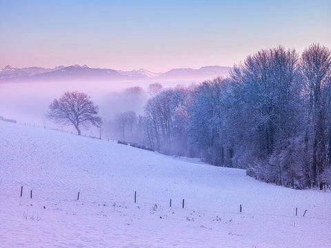 Winter landsacpe in Switzerland White Modern Wood Framed Art Print with Double Matting by Frank, Assaf