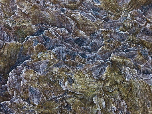 Image Only