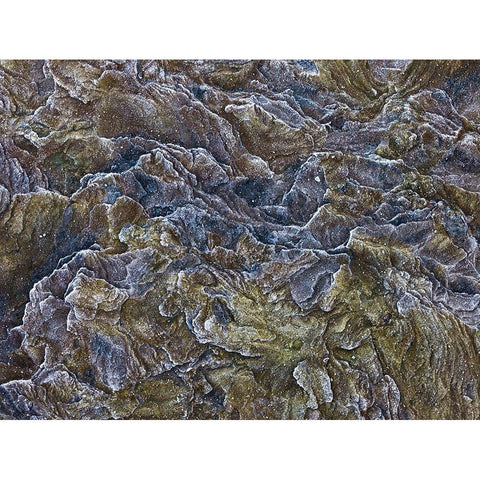 Frosty rock surface Black Modern Wood Framed Art Print by Frank, Assaf