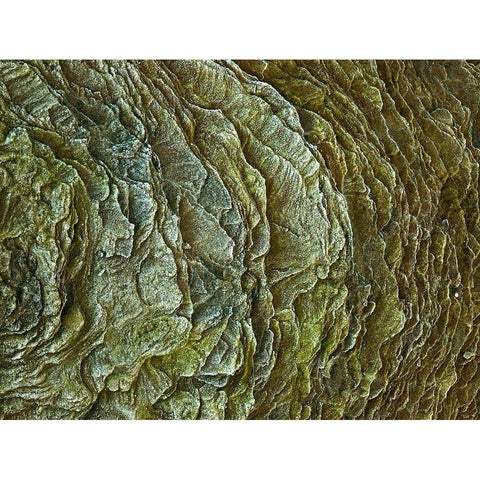 Frosty rock surface Black Modern Wood Framed Art Print by Frank, Assaf