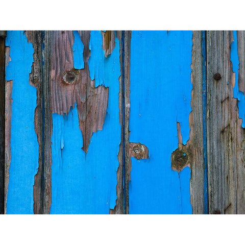 Paint on old door surface White Modern Wood Framed Art Print by Frank, Assaf