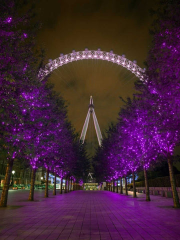 London Eye at night Black Ornate Wood Framed Art Print with Double Matting by Frank, Assaf