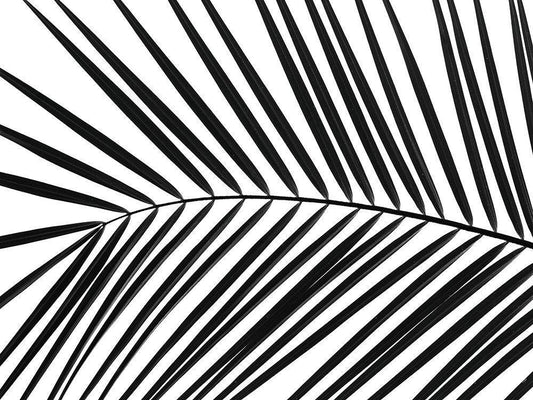 Image Only