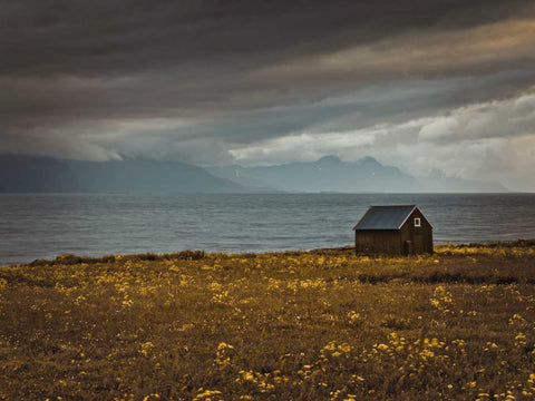 Beach hut on Lofoten coastline, Norway White Modern Wood Framed Art Print with Double Matting by Frank, Assaf