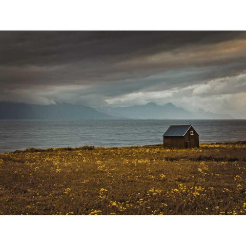 Beach hut on Lofoten coastline, Norway Gold Ornate Wood Framed Art Print with Double Matting by Frank, Assaf