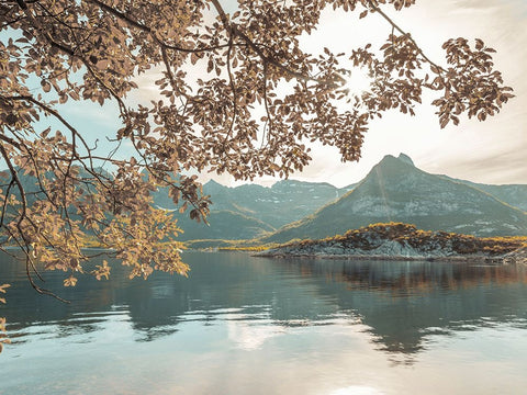 Norwegian fjord, Lofoten, Norway White Modern Wood Framed Art Print with Double Matting by Frank, Assaf