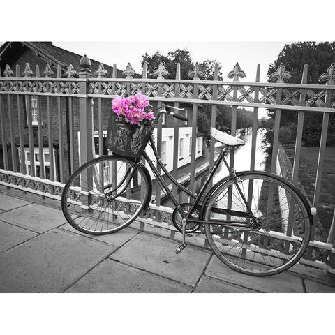 Old Bicycle near a canal Black Modern Wood Framed Art Print with Double Matting by Frank, Assaf