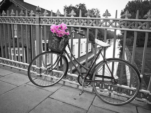 Old Bicycle near a canal Black Ornate Wood Framed Art Print with Double Matting by Frank, Assaf