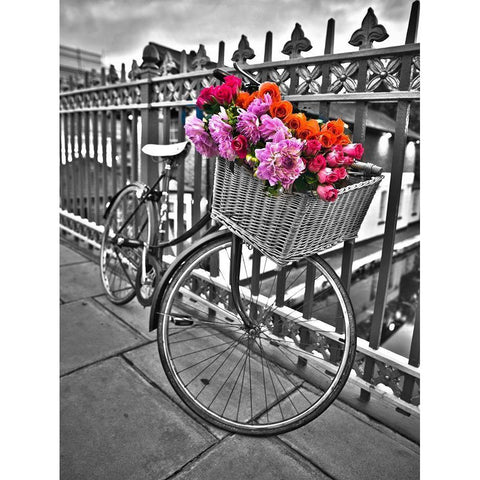 Bicycles with flowers White Modern Wood Framed Art Print by Frank, Assaf