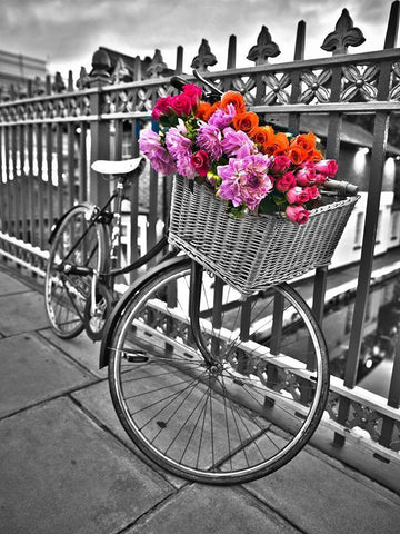 Bicycles with flowers Black Ornate Wood Framed Art Print with Double Matting by Frank, Assaf