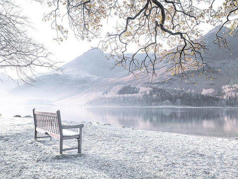 Bench by still lake White Modern Wood Framed Art Print with Double Matting by Frank, Assaf