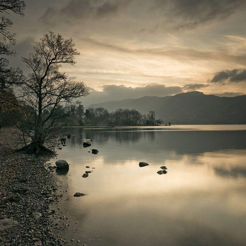 Still lake at dusk Black Modern Wood Framed Art Print with Double Matting by Frank, Assaf