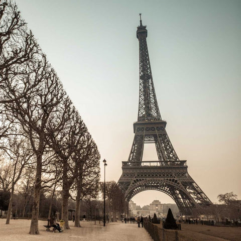 Eiffel tower, Paris Black Ornate Wood Framed Art Print with Double Matting by Frank, Assaf