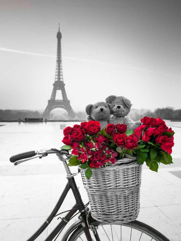 Teddy Bears and bunch of red roses on bicycle with Eiffel tower in the background Black Ornate Wood Framed Art Print with Double Matting by Frank, Assaf