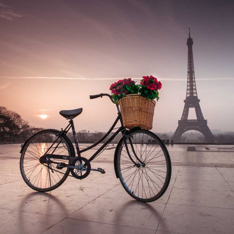 A bicycle with a basket of flowers with the Eiffel tower in the background Black Ornate Wood Framed Art Print with Double Matting by Frank, Assaf