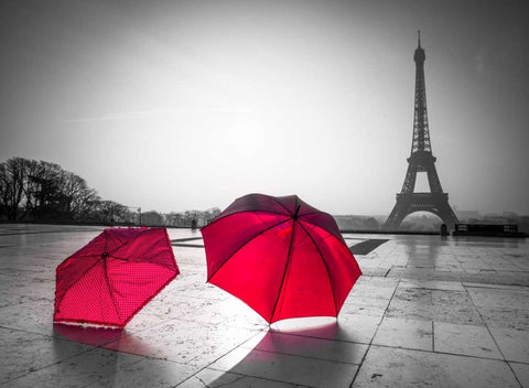 Two Umbrellas in front of the Eiffel tower, Paris, France Black Ornate Wood Framed Art Print with Double Matting by Frank, Assaf