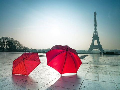 Umbrellas and Eiffel tower Black Ornate Wood Framed Art Print with Double Matting by Frank, Assaf