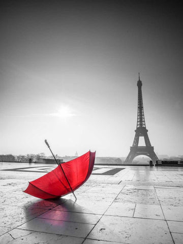 Umbrella in front of the Eiffel tower, Paris, France Black Ornate Wood Framed Art Print with Double Matting by Frank, Assaf