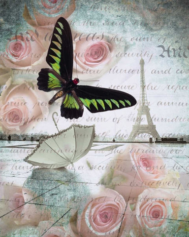 Eiffel tower with butterfly and roses overlay White Modern Wood Framed Art Print with Double Matting by Frank, Assaf