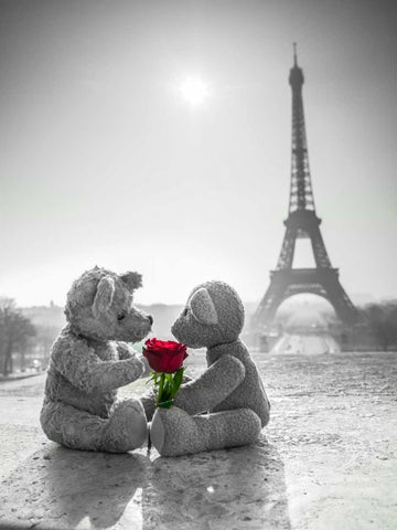 Two Teddy bears with a rose next to the Eiffel tower White Modern Wood Framed Art Print with Double Matting by Frank, Assaf