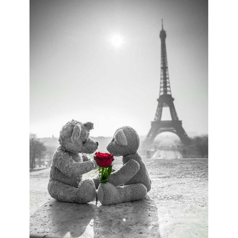 Two Teddy bears with a rose next to the Eiffel tower Black Modern Wood Framed Art Print with Double Matting by Frank, Assaf