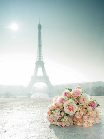 Bunch of roses next to the Eiffel tower White Modern Wood Framed Art Print with Double Matting by Frank, Assaf