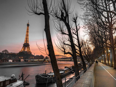 Row of trees, the river Seine and the Eiffel tower at dusk White Modern Wood Framed Art Print with Double Matting by Frank, Assaf