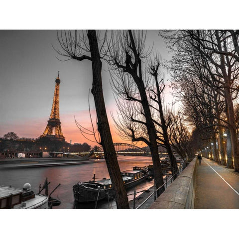 Row of trees, the river Seine and the Eiffel tower at dusk Black Modern Wood Framed Art Print by Frank, Assaf